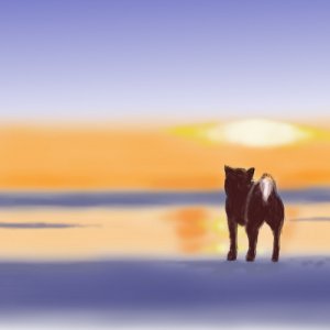 New Discord Channel Open